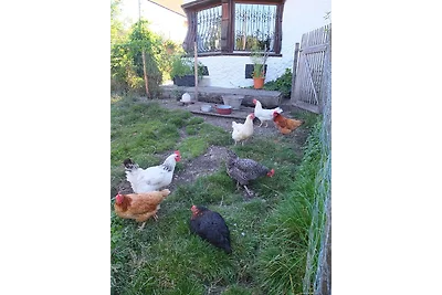 Vakantieappartement Gezinsvakantie Burggen