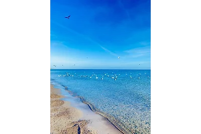 Ferienwohnung Jasmin Ostsee