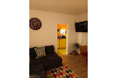 Apart Lachmöwe im Möwennest