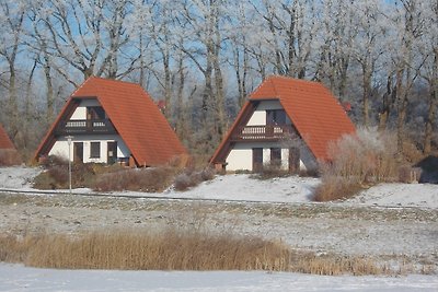 Finnhäuser am Vogelpark - Haus