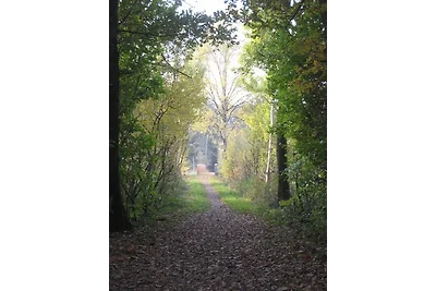 Ferienwohnung Eulennest