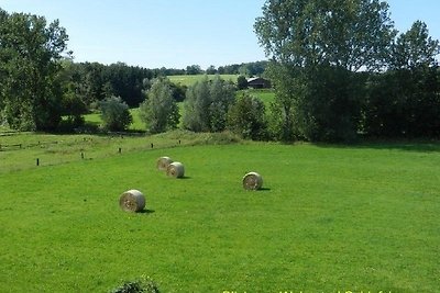 Ferienwohnung im Teutoburger Wald