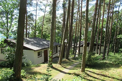 Feriendorf Mengshausen 3