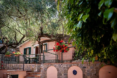 Vakantiehuis Ontspannende vakantie Salerno