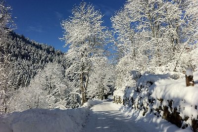 Vakantieappartement Gezinsvakantie Alpirsbach