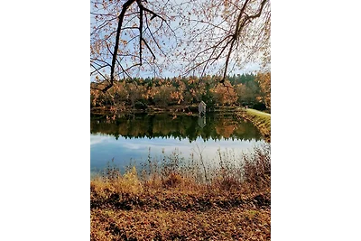 Hahnenklee mit Seeblick 219