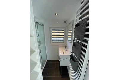 Casa su barca Vacanza single Görlitz