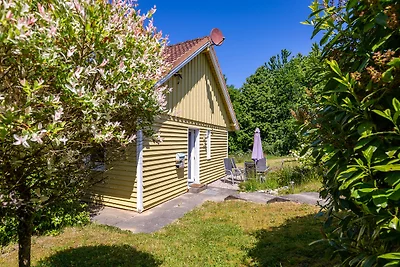 Holiday home relaxing holiday Schönwalde
