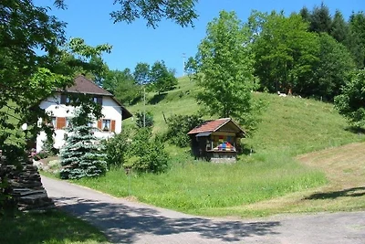 Vakantieappartement Gezinsvakantie Kleines Wiesental