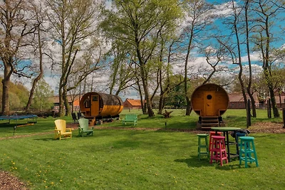 Kuhle Auszeit - Fass Sonnenblume