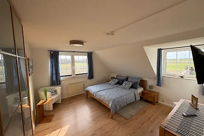 Ostseekoje Koje 4
