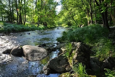 4 Sterne Ferienwohnung Rosengarten