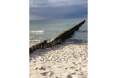 Baltic Sky