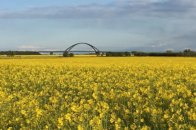 "Apartment - FerienOase" mit Blick