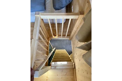 Wald ist Zukunft [Baumhaus Specht]