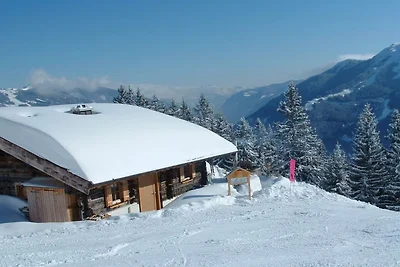 Berghütte in Saalbach Bachalm 1802