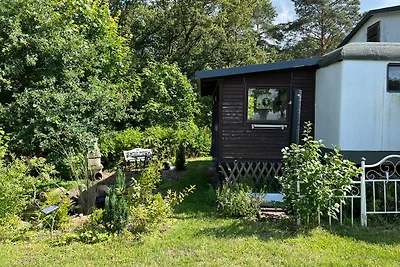 Accommodatie Vakantie op de boerderij Lenzen