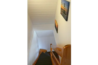 Ferienhaus Vogel Nordsee