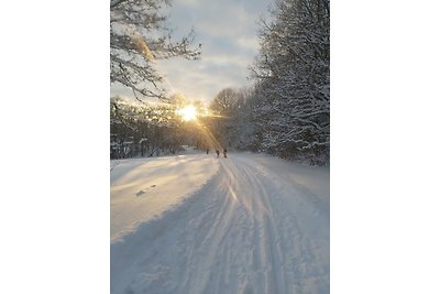 Ferienwohnung Sonnenschein mit