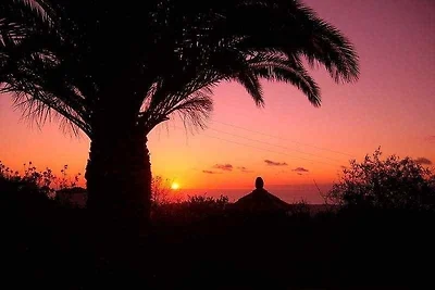 Casa Palmera A, Ferienhaus in La