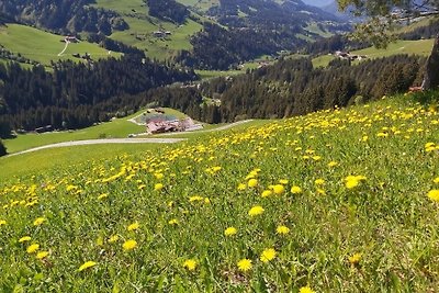 Vakantieappartement Gezinsvakantie Wildschönau