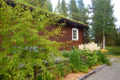 Cottage on Wild River