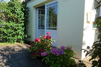 Böltser Hus Terrassenwohnung