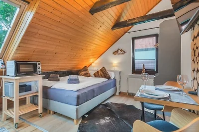 Vakantieappartement Gezinsvakantie Bad Harzburg