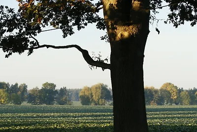 Blücherkate II