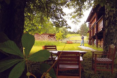 Vakantieappartement Gezinsvakantie Freudenstadt