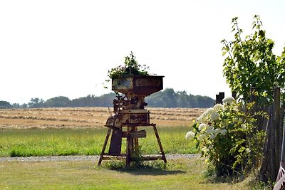 Vakantieappartement Gezinsvakantie Kabelhorst