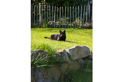 Traumkrone Ferienwohnungen -