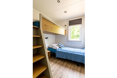 Muschel (49)