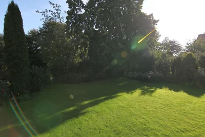 Ferienhof Petersen - Hofblick