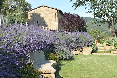 Casa vacanze Vacanza di relax Arezzo