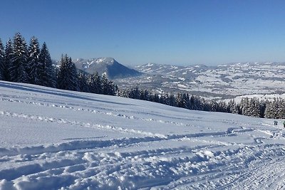 Appartamento Vacanza con famiglia Oberstaufen