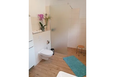 Voss barrierefrei - ABC313