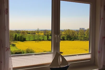 Kleingarn - "Meeresblick" Nr.11