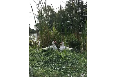 Schwabenhof Ferienwohnung II