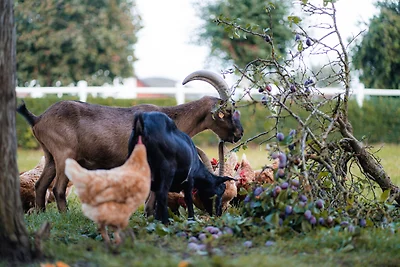 Heimathafen (Whg. 2)