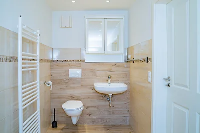 Schleiblick App. 15 - barrierearm