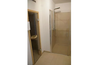 Hobenbeseuk mit Sauna - ABC240