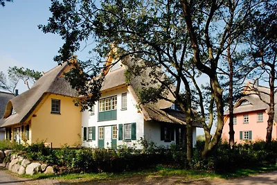 Vakantiehuis Ontspannende vakantie Dierhagen