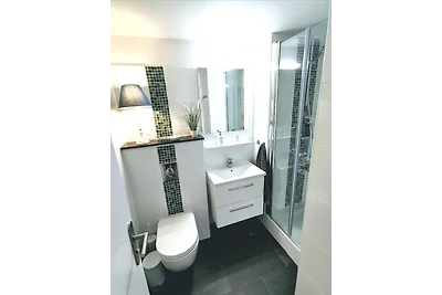 Hahnenklee mit Seeblick im Harz