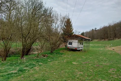 Bed and Breakfast holiday on a farm Schleiz