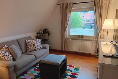 Apart Heringsmöwe