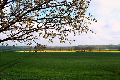 Landhaus mit Weitblick