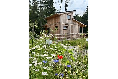 Wald ist Zukunft [Baumhaus Specht]