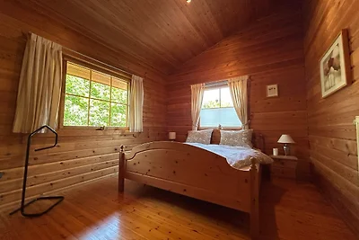 Vakantiehuis Ontspannende vakantie Winsen (Aller)