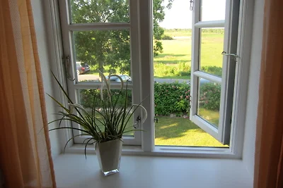 Vakantieappartement Gezinsvakantie Wrixum